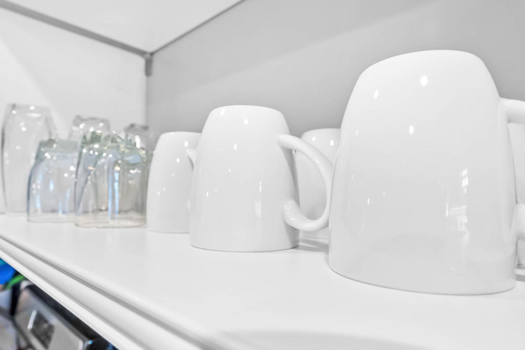 Coral Cottage, Stylish Studio Suite On Canal, Walkable To Beach, Private Parking 세인트어거스틴 외부 사진